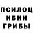 Галлюциногенные грибы Psilocybe Sergiy Shkodich