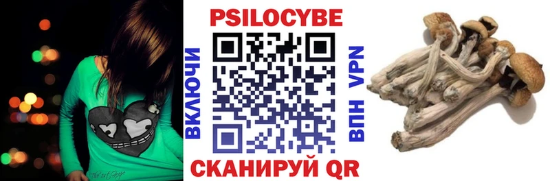 Галлюциногенные грибы GOLDEN TEACHER  Купить где  Красный Сулин 